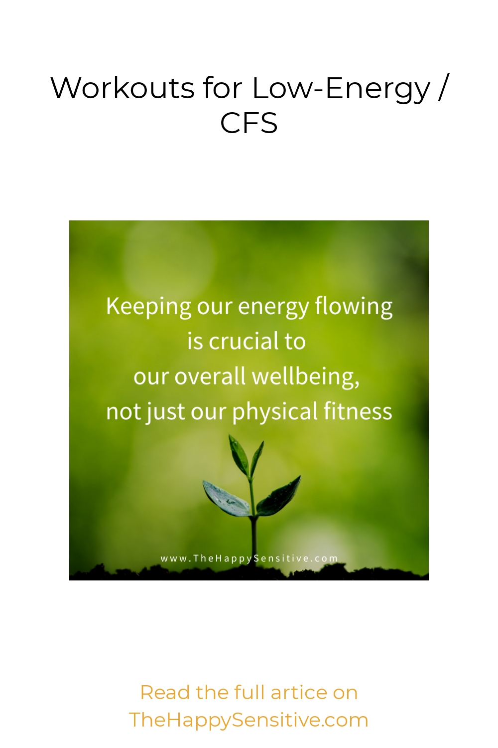 Workouts for LowEnergy / CFS The Happy Sensitive